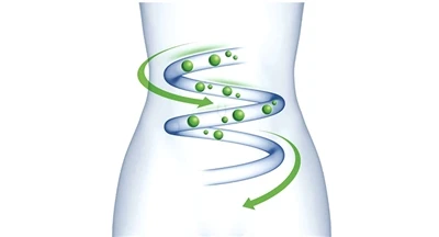 Come i probiotici colonizzano l'intestino