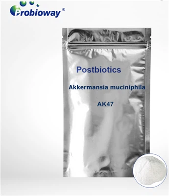 L'azienda H&H di Zhengzhou lancia il rivoluzionario probiotico postbiotico AK...